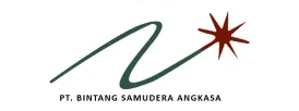 BSA